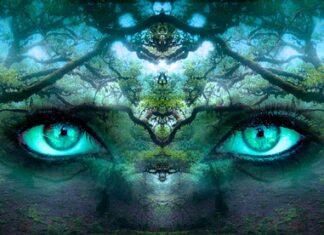 Czym jest tożsamość firmy?