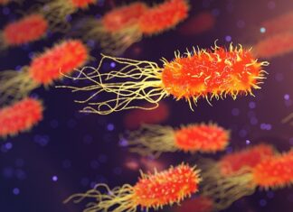 Co organizm potrzebuje do życia?