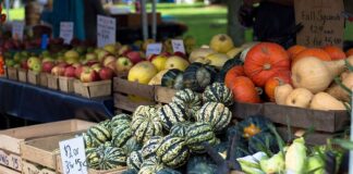 Jak kształtować pozytywny PR przedsiębiorstwa?