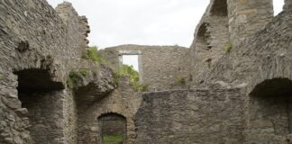 Ile czasu zajmuje zdobycie czarnego pasa BJJ?