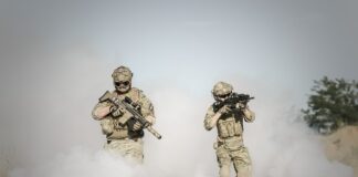 Czy można strzelać z wiatrówki do gołębi?