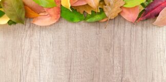 Co trzeba oclić na granicy?