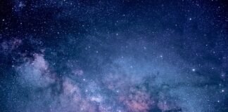 Jakie badania do zmniejszenia żołądka?