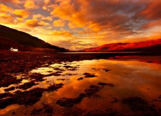 Jaki ma majątek Robert Lewandowski?