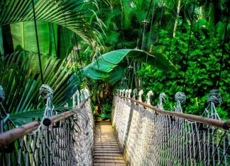 Ile kosztuje kurs paralotniowy?