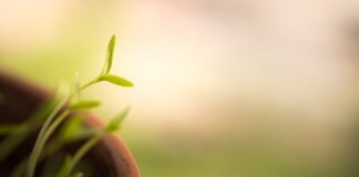 Jak jeździć szybciej?