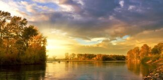 Ile kosztuje koło do roweru 28?