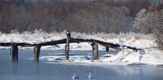 Jaki powinien być przekrój przewodu PE?