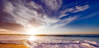 Co to jest pianka Pamięciowa?