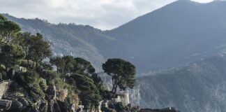 Ile kosztuje wymiana naciągu?