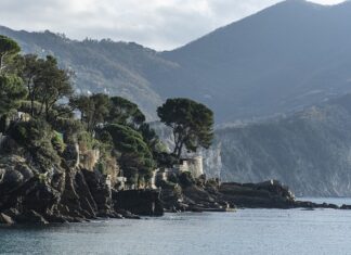 Ile kosztuje wymiana naciągu?