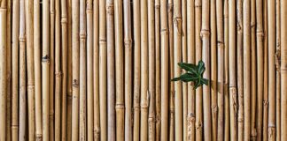 Jak sprawdzić czy mam sztywna oś?