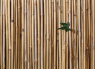 Jak sprawdzić czy mam sztywna oś?